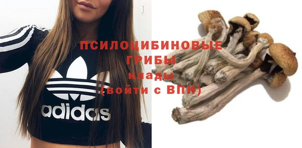 стафф Протвино