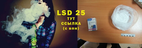 хмурый Алзамай