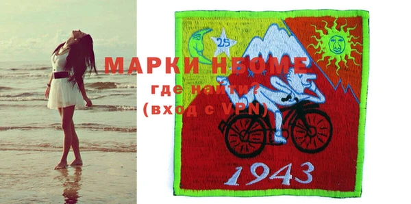 хмурый Алзамай